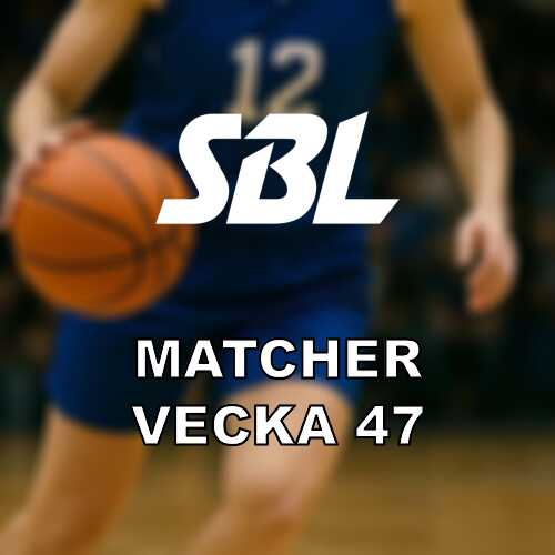 Vecka 47 i basketligan damer visby i dubbla bortamoten