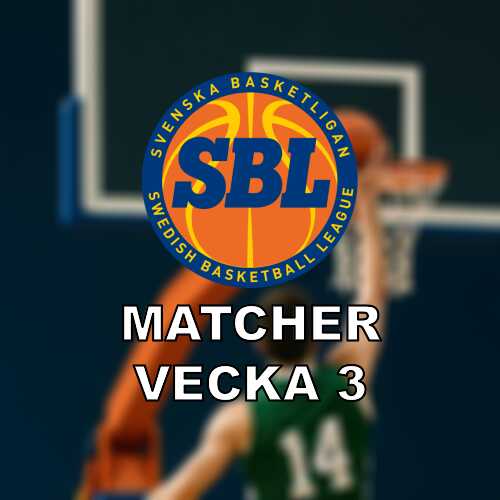Basketligan vecka 3 omgang 18 19 med boras form och dolphins resa till hogsbo