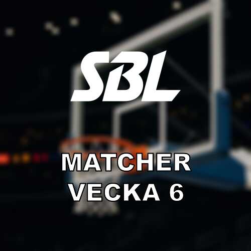 Basketligan damer vecka 6 hogsbo mot dolphins och viktiga streckpoang