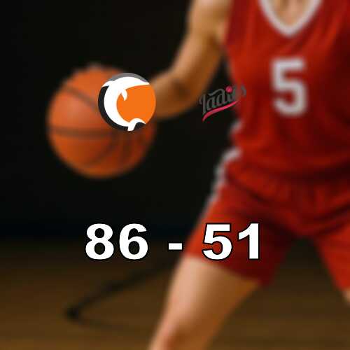 Norrkopings dolphins korde ifran visby med 86 51