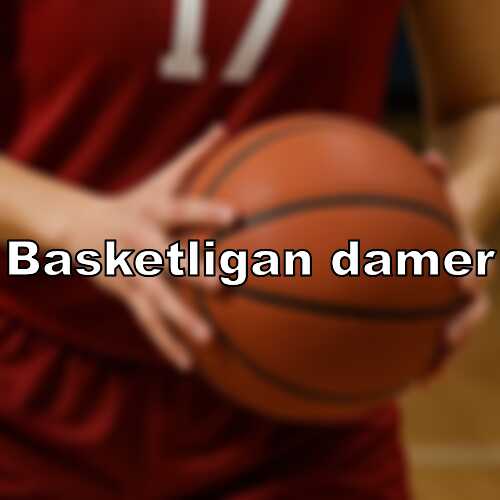 Hogsbos trupp komplett toppnamn klara for basketligan dam