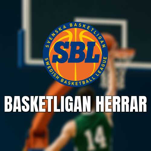 Acb meriterade stan okoye klar for hogsbo basket