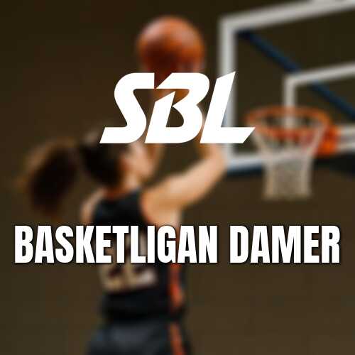 Visbys nya bygge i basketligan dam flertal hot pa golvet